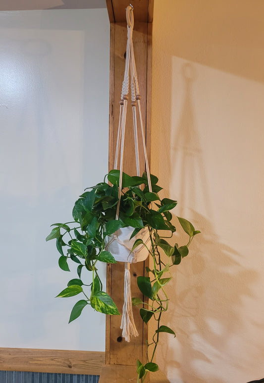 40" Square Knot Plant Hanger