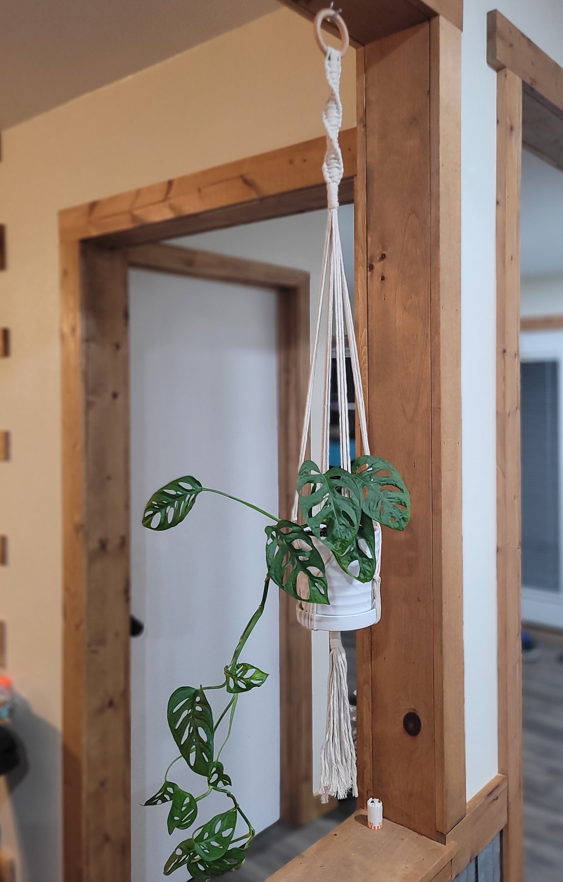 plant hanger knots 36" Twisted Plant Hanger – Graceful Knots