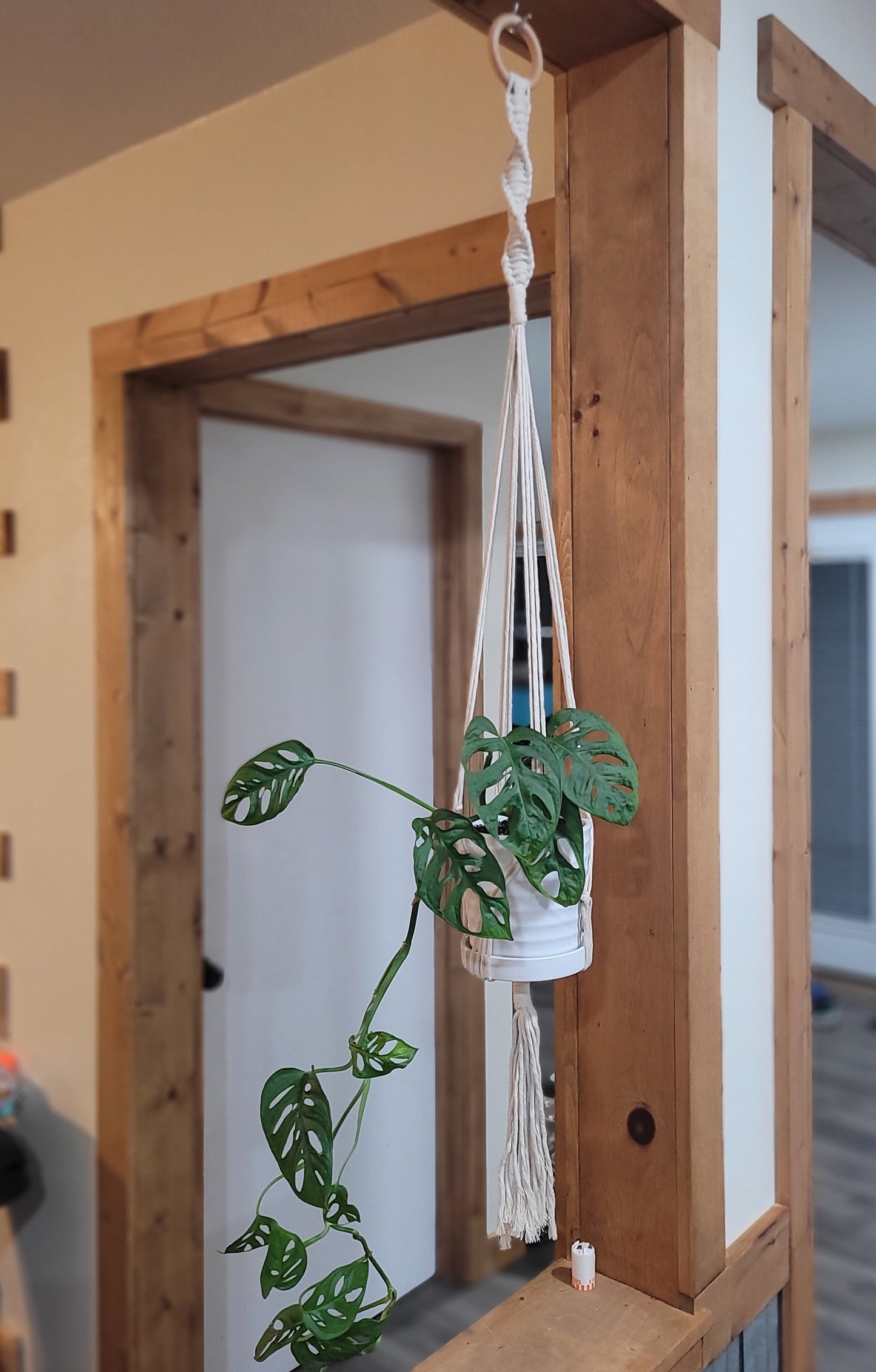 36" Twisted Plant Hanger