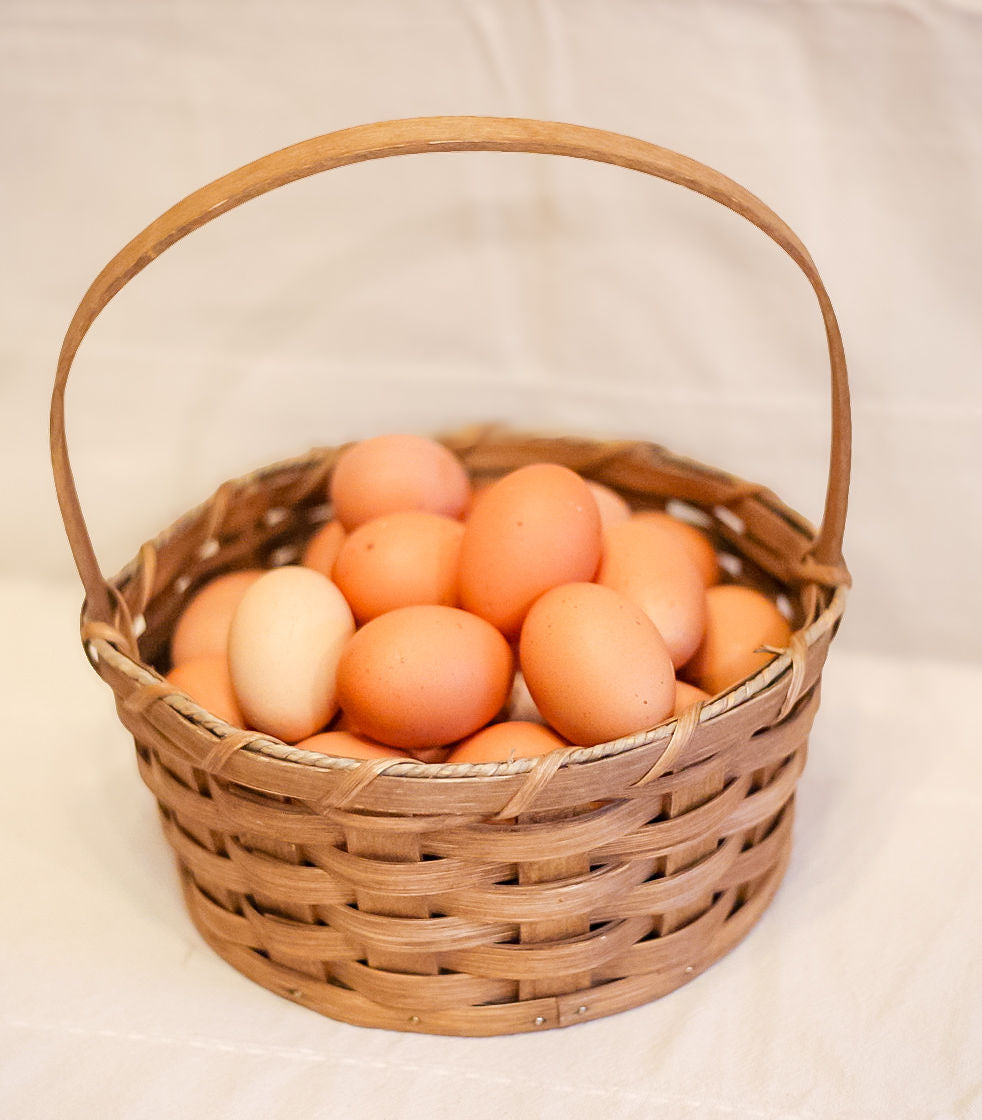 Egg Basket