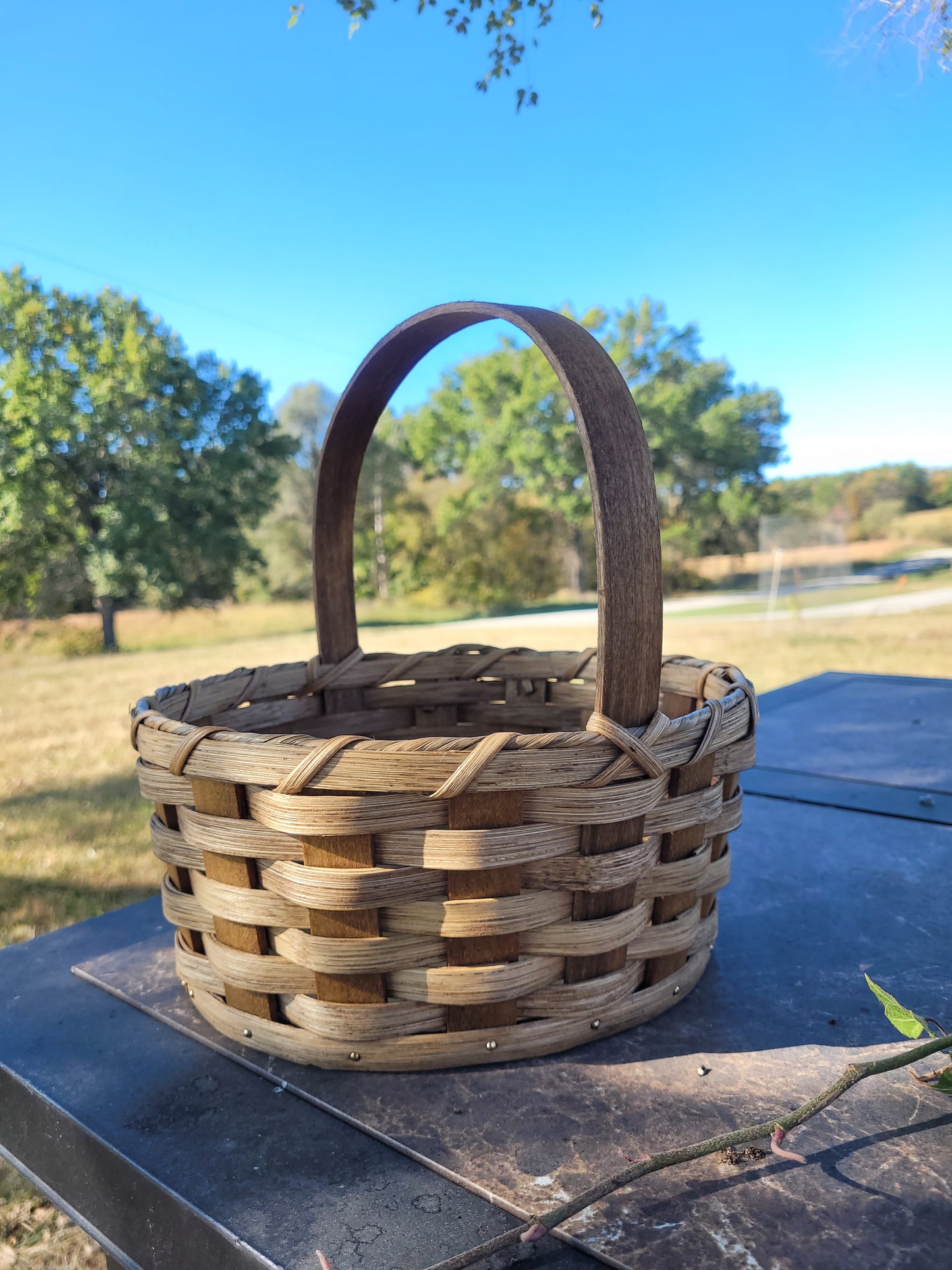 Egg Basket